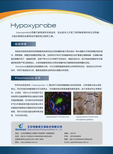 低氧探針檢測(cè)試劑盒