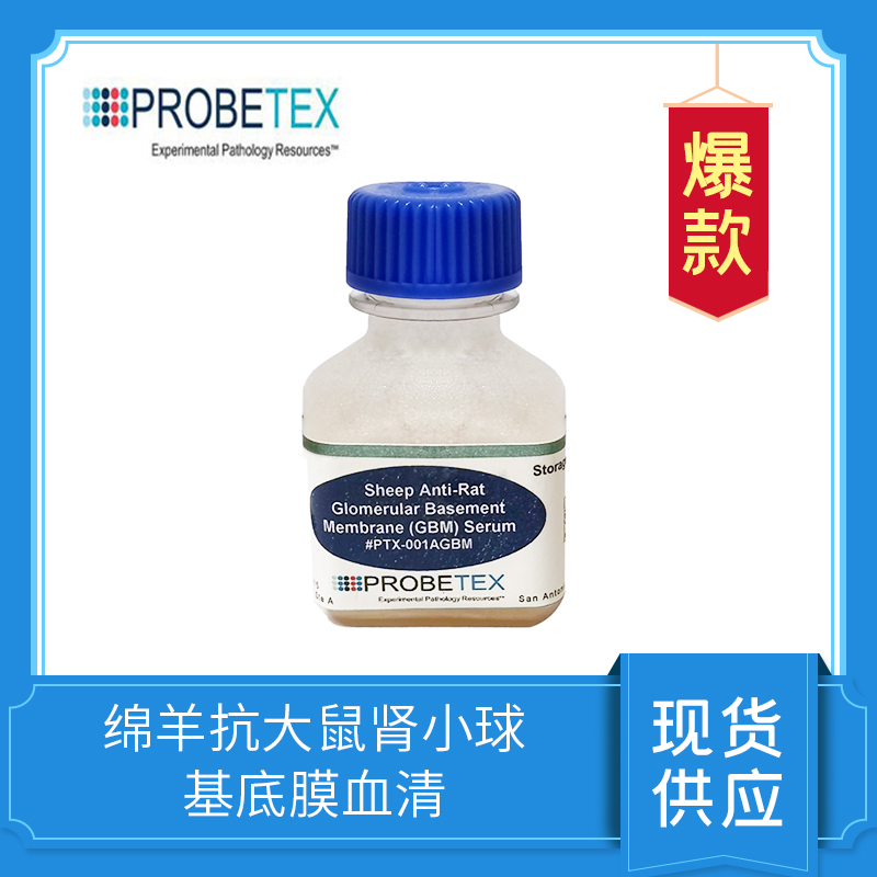 綿羊抗大鼠腎小球基底膜血清Sheep?Anti-Rat?Isolated?Glomerular?Basement?Membrane?(Anti-GBM)?Serum