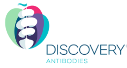 Discovery? Antibodies（CRB）中國代理博蕾德生物-藥物研究抗體領導者