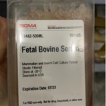 Sigma 胎牛血清 FBS cat#F2442  現(xiàn)貨特價(jià)