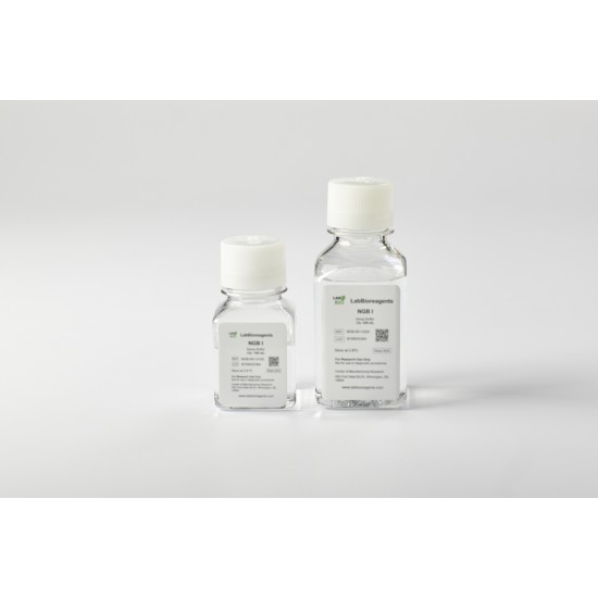 NGB I Buffer I  NGB Buffer 樣本稀釋液