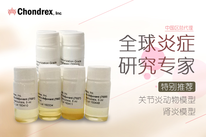 關(guān)節(jié)炎動物模型(CIA, AIA, CAIA )制備系列產(chǎn)品