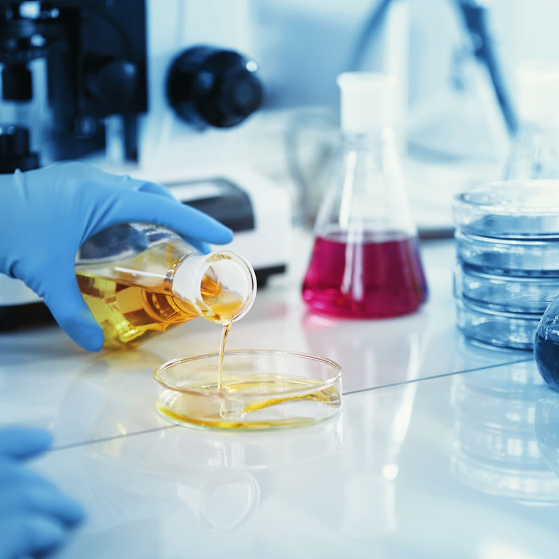 Western blot實(shí)驗(yàn)技術(shù)服務(wù) 蛋白免疫印跡實(shí)驗(yàn)代作外包