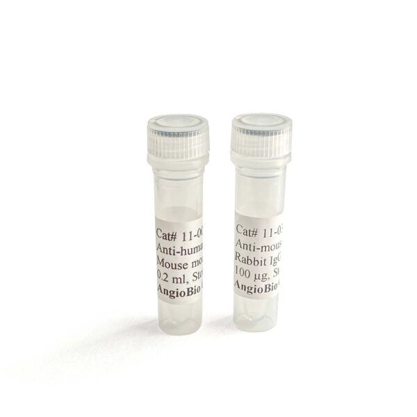 Anti-Rat Podoplanin Monoclonal Antibody